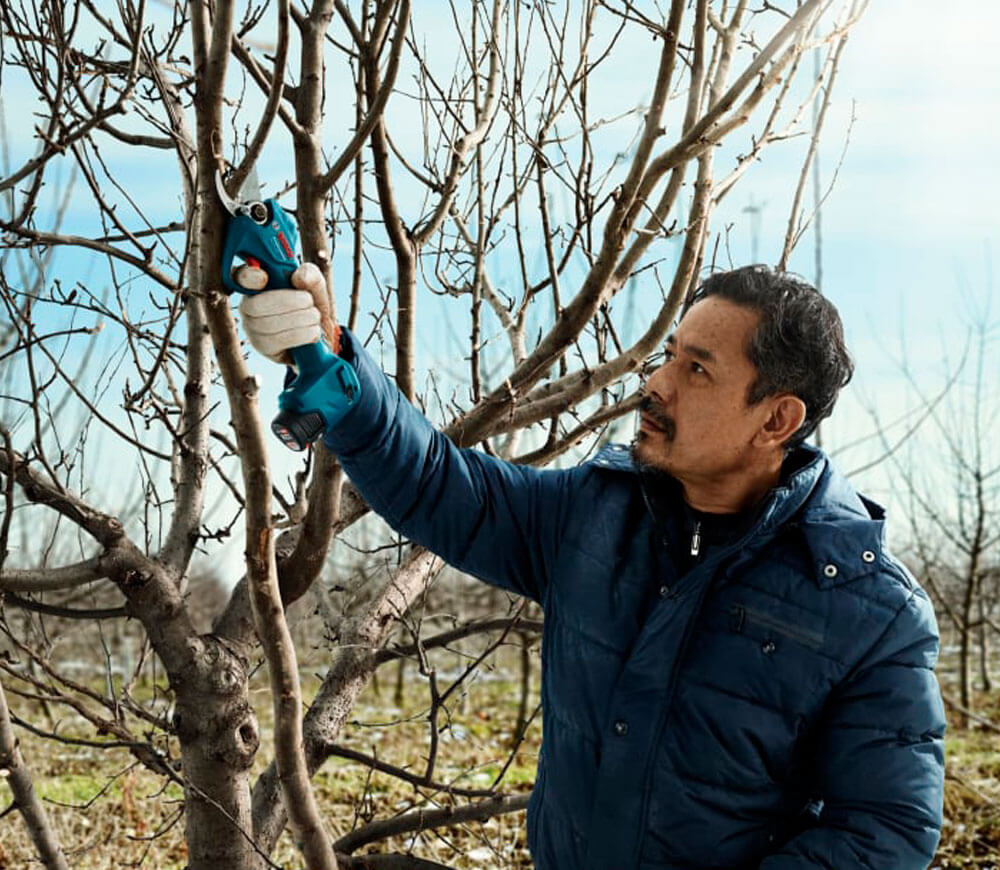 Foarfece cu acumulator BOSCH Pro Pruner (6019K1021) 12V 3Ah photo 2