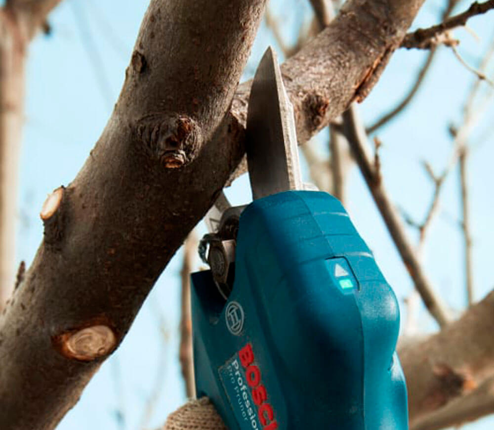 Foarfece cu acumulator BOSCH Pro Pruner (6019K1021) 12V 3Ah photo 4
