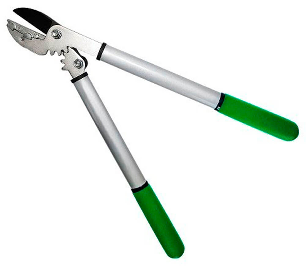 Foarfeci de tăiat crengi GRUNTEK Grizzly 295203470 470mm photo 0