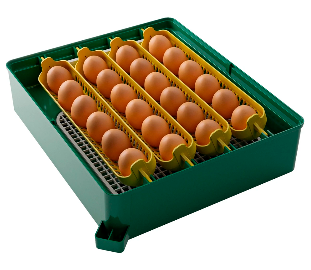 Incubator Demetra EU PROFI C-24 24 de ouă photo 0