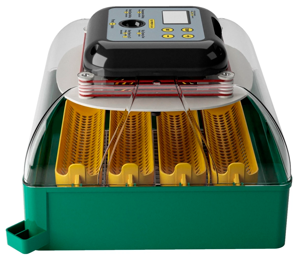 Incubator Demetra EU PROFI C-24 24 de ouă photo 1