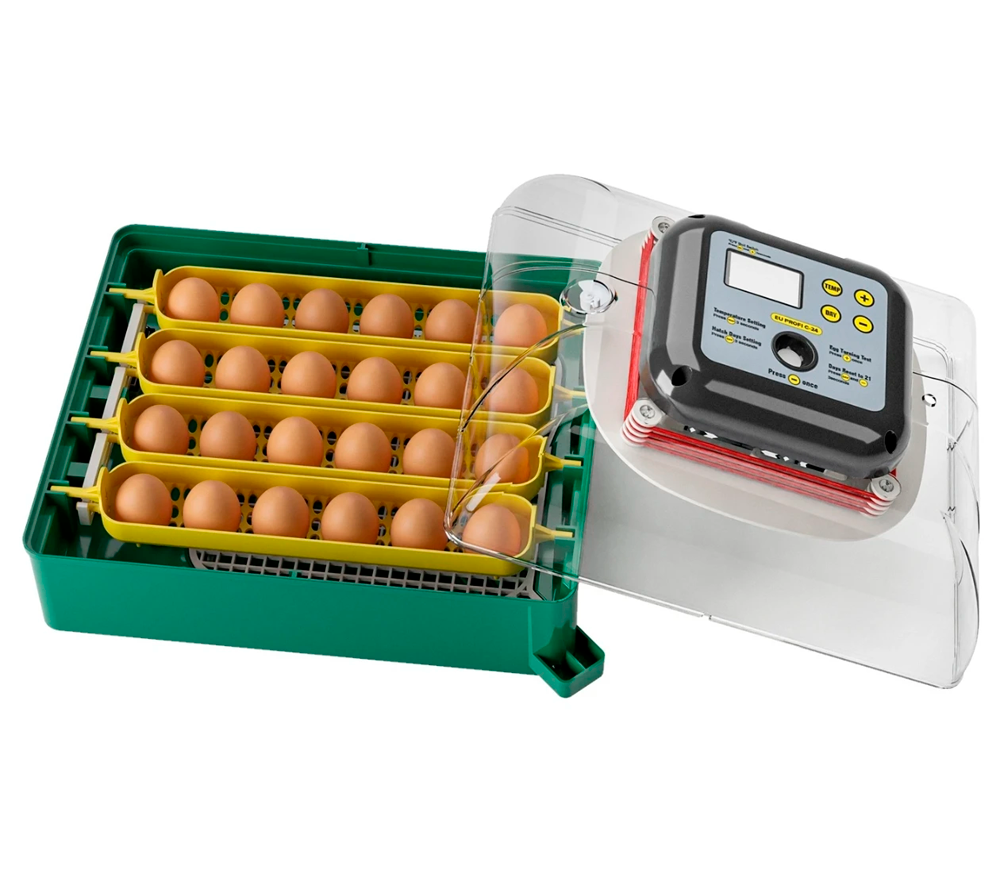 Incubator Demetra EU PROFI C-24 24 de ouă photo 2