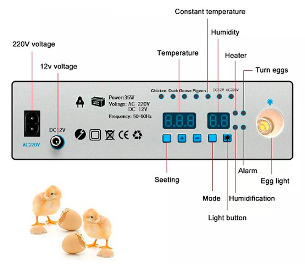 Incubator Demetra DM-176 176 de ouă photo 6