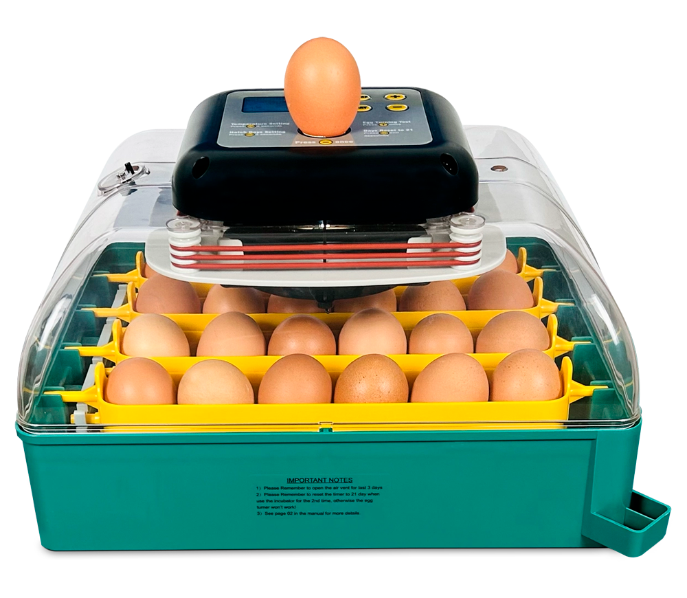 Incubator Des Champs ECO PROFI C-24 photo 1