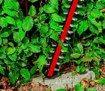 Trimmer gard viu cu acumulator (fără baterii) Einhell PXC ARCURRA 18/55 550mm 18V photo 5