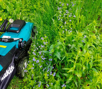 Mașină de tuns gazonul electrică MAKITA ELM3320 1200w 330mm photo 4