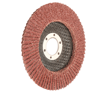 product Discuri de șlefuit lamelare WOKIN 775110 P100