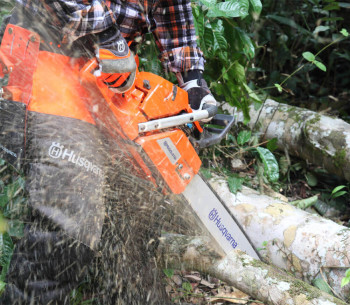 Fierăstrău cu lanț pe benzină Husqvarna 365 (C967082818) 450mm 65.1cm3 photo 8