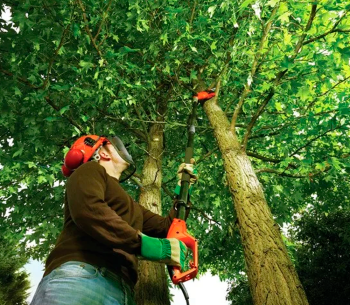 Fierăstrău electric cu lanț BLACK&DECKER PS7525 800w 250mm photo 3