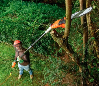 Fierăstrău electric cu lanț BLACK&DECKER PS7525 800w 250mm photo 4
