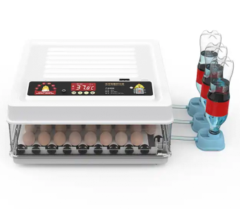 Incubator Demetra DM-130 130 de ouă photo 1