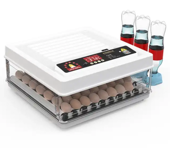 Incubator Demetra DM-70 70 de ouă photo 0