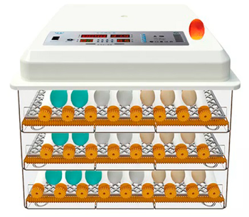 product Incubator Demetra DM-176 176 de ouă