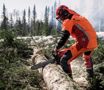 Fierăstrău cu lanț pe benzină Husqvarna 565XP 460mm 70.6cm3 photo 1