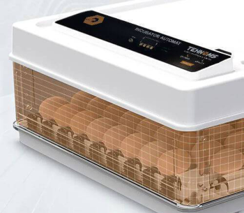 Incubator TEHNO-MS MS-130 photo 2