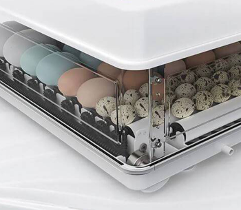 Incubator TEHNO-MS MS-70 Incubator photo 0